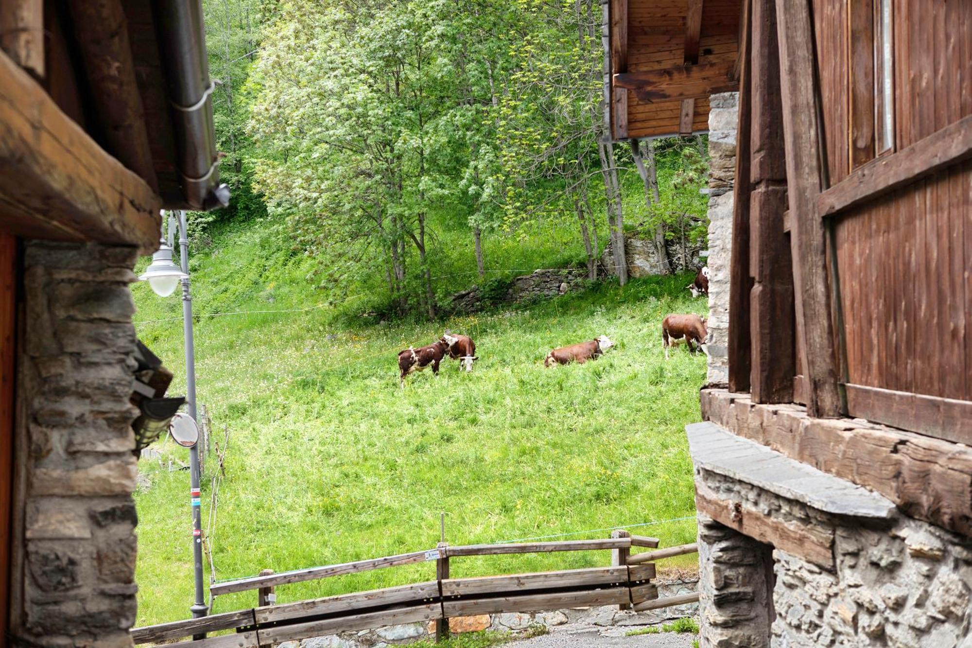 Aux Pieds Du Malatra' 1 Apartman Saint-Rhemy-En-Bosses Kültér fotó
