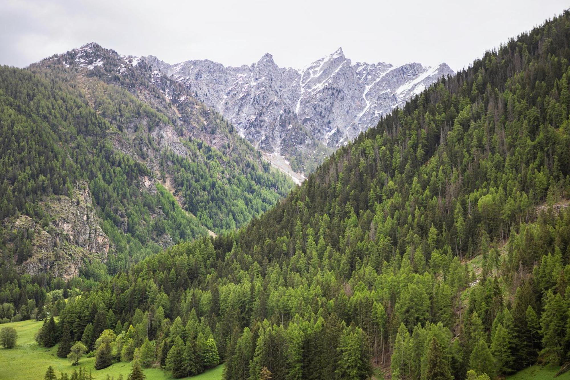 Aux Pieds Du Malatra' 1 Apartman Saint-Rhemy-En-Bosses Kültér fotó